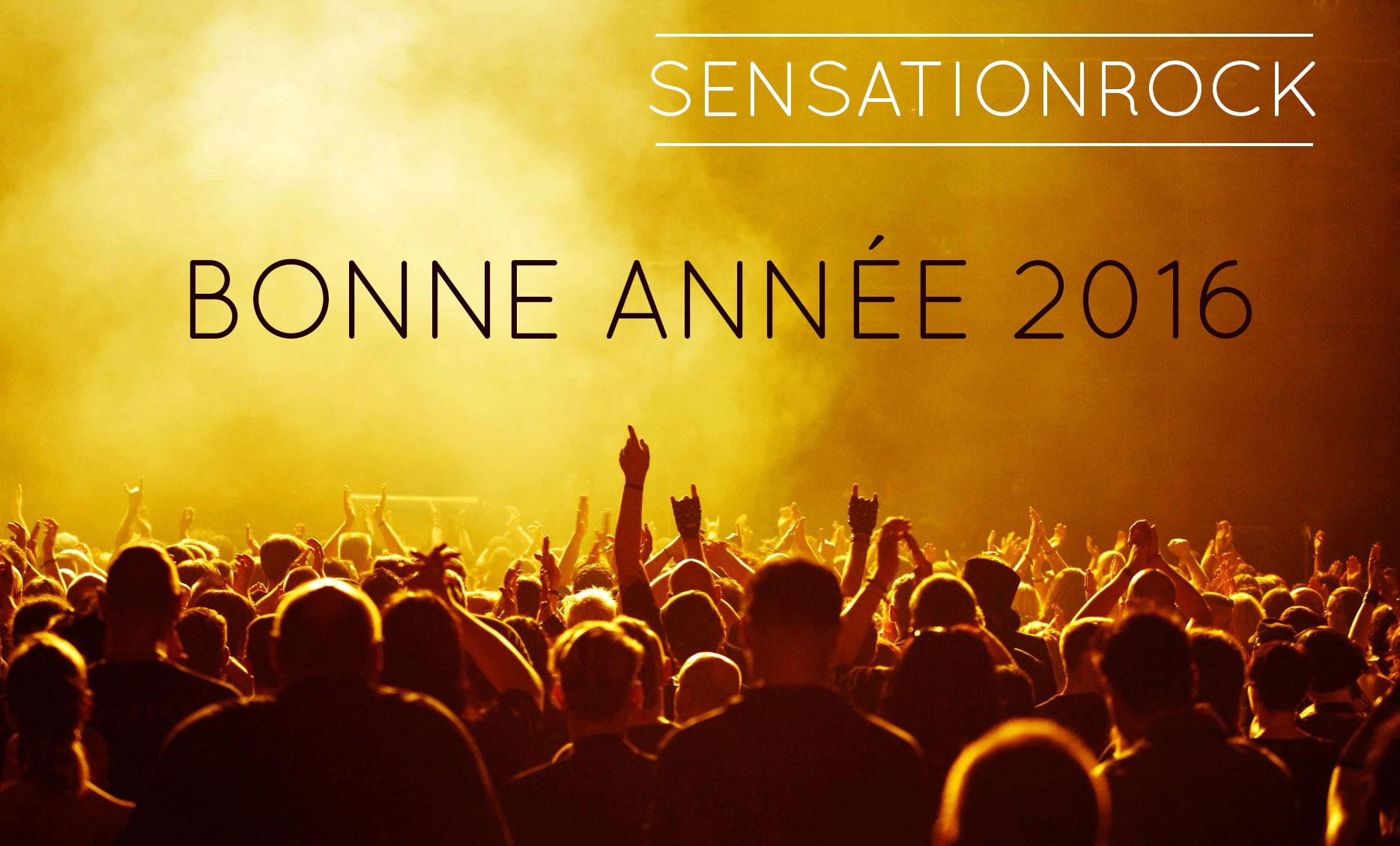 nous vous souhaitons un bonne annee 2016